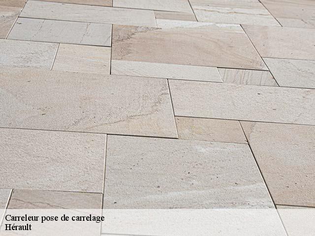 Carreleur pose de carrelage Hérault