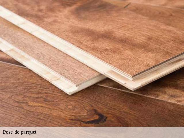 Pose de parquet Hérault