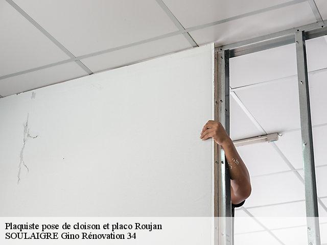 Plaquiste pose de cloison et placo 34320