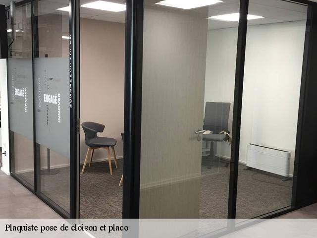 Plaquiste pose de cloison et placo 34670