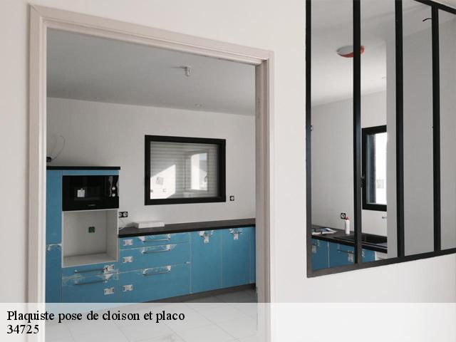 Plaquiste pose de cloison et placo 34725