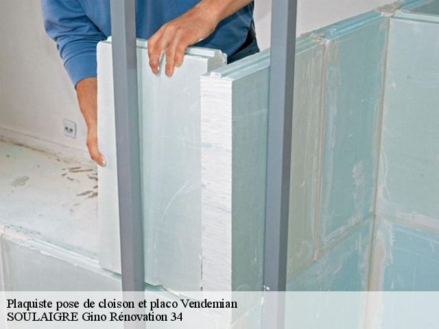 Plaquiste pose de cloison et placo vendemian-34230 SOULAIGRE Gino Rénovation 34