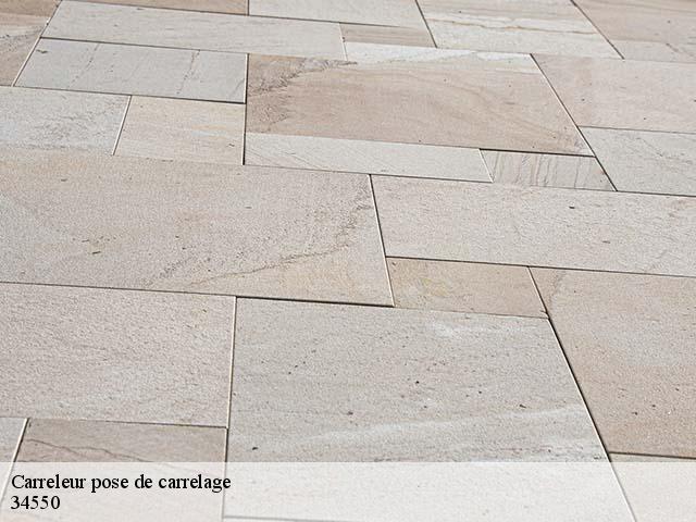 Carreleur pose de carrelage  34550