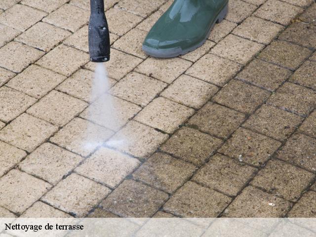Nettoyage de terrasse 34000